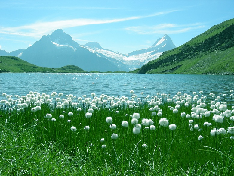 Schynige Platte Switzerland